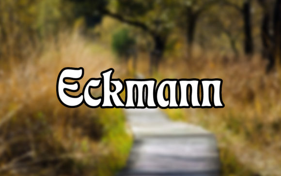 Discover Eckmann: The Elegant Serif Font for Your Projects