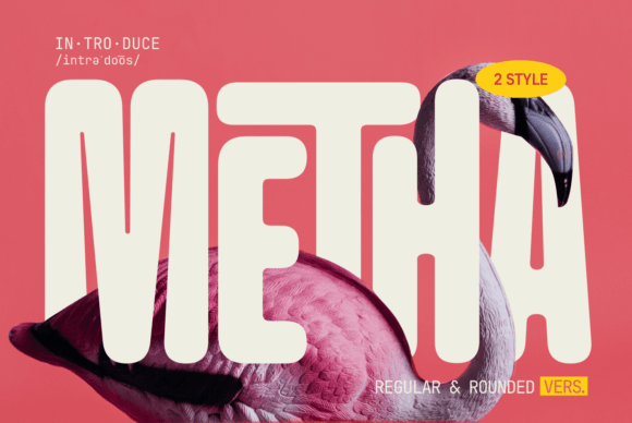 Metha: The Modern Sans Serif That Feels Like a Warm Handshake